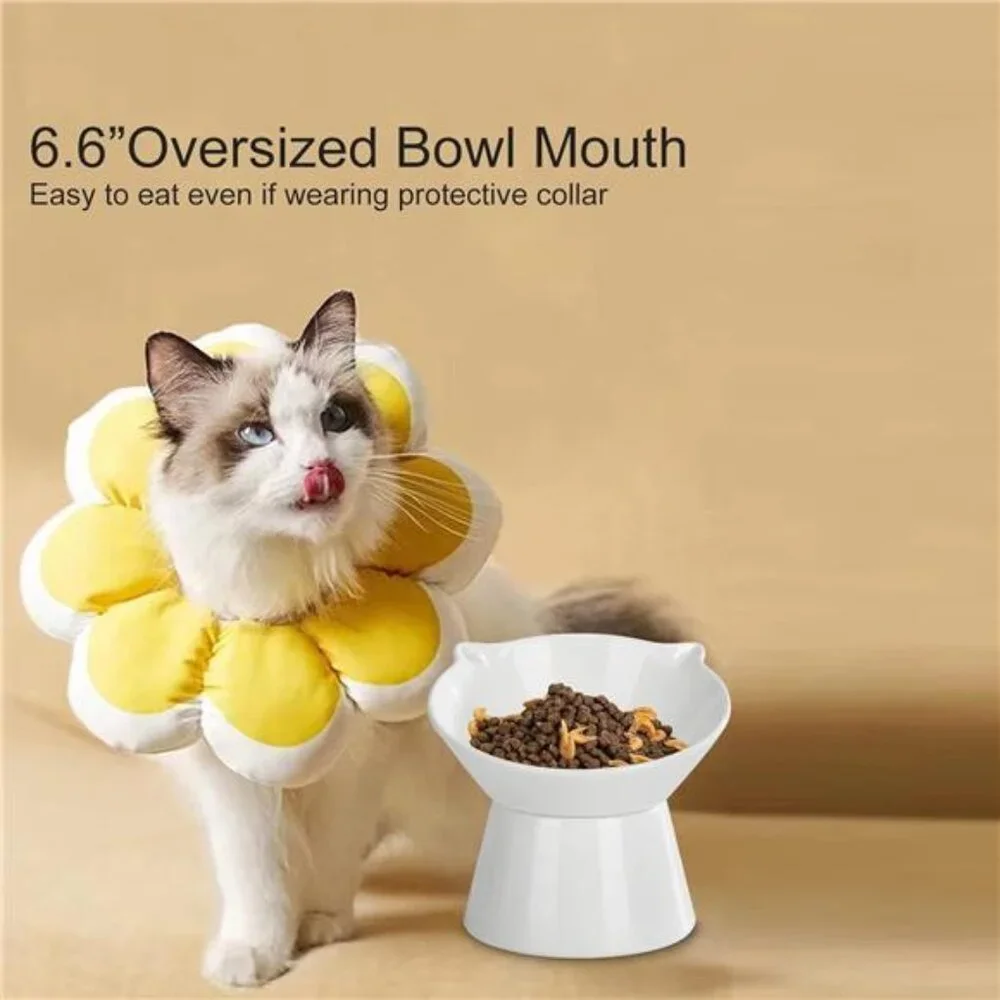 Detachable Elevated Cat Bowls, 15 Tilted Raised Food Bowl Anti-Vomiting